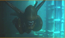 L'Alien sait nager...