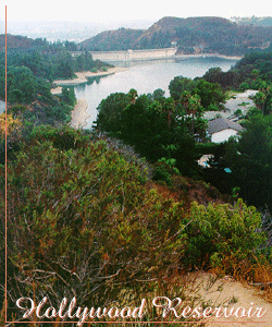 Le Rservoir d'Hollywood
